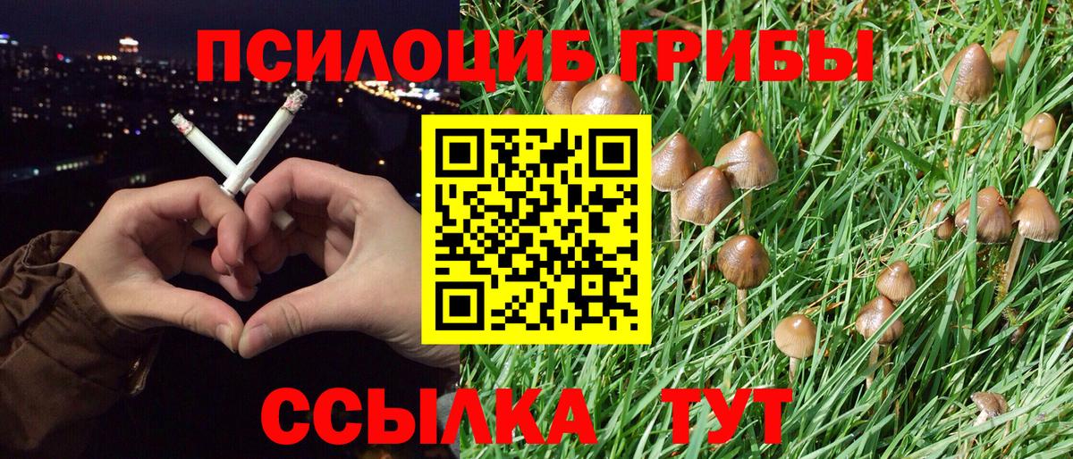 Галлюциногенные грибы Magic Shrooms  Галлюциногенные грибы прущие грибы  Вход с VPN  Чапаевск 